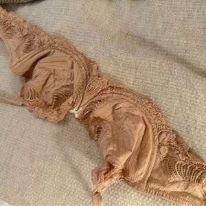Paramour Lace Trimmed Brown Bra